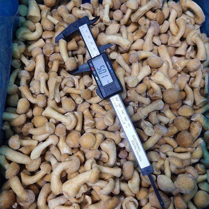 IQF Nameko Mushroom