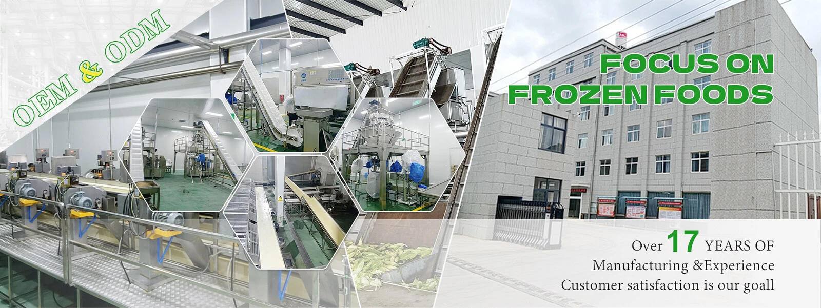 Frozen food production-site building supporting GreenLand-food export orders Frozen food production-site building supporting GreenLand-food export orders