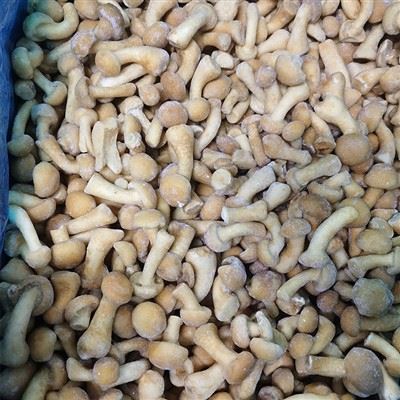 انجماد قارچ Nameko